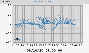 Wind Vector