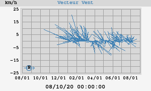 Wind Vector